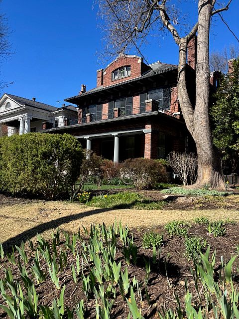 1241 from neighbor's yard