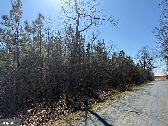 4th image of 2A Sanders Creek Rd