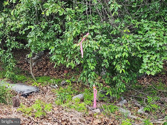 4th image of 11 Lonesome Pine Ln