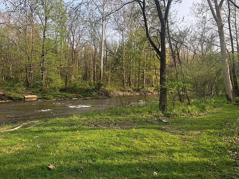 8561 Skinner Rd — Photo 28