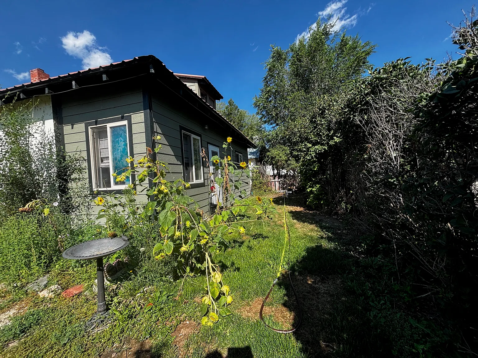 2 bed, 1886 sqft, $1,500 — Photo 4
