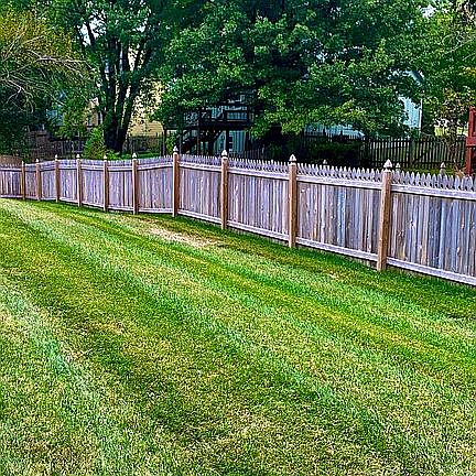 Lovely yard and new fence