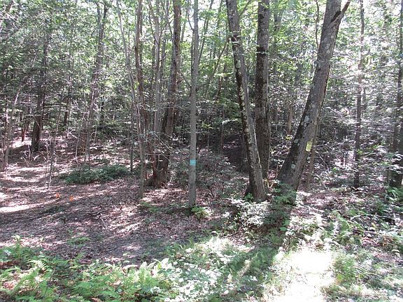 4th image of 65-0065 Round Hill Rd