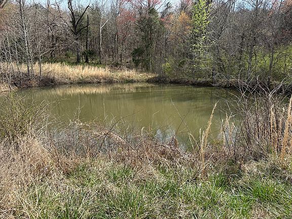 2nd image of 90/ACRE S Old Rhea Springs Rd