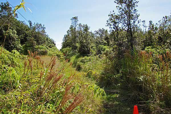 Looking into Lot 46 from right corner.