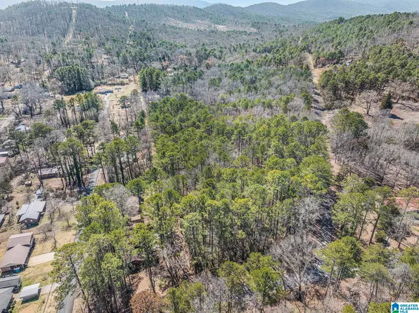 0 Oak Ridge Ln #0, Piedmont, AL 36272