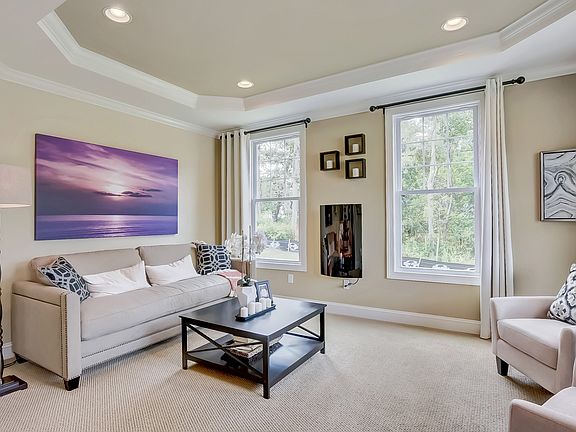 Living room with tray ceiling