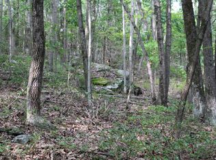 1905 Orviston Mountain Rd, Howard, PA 16841