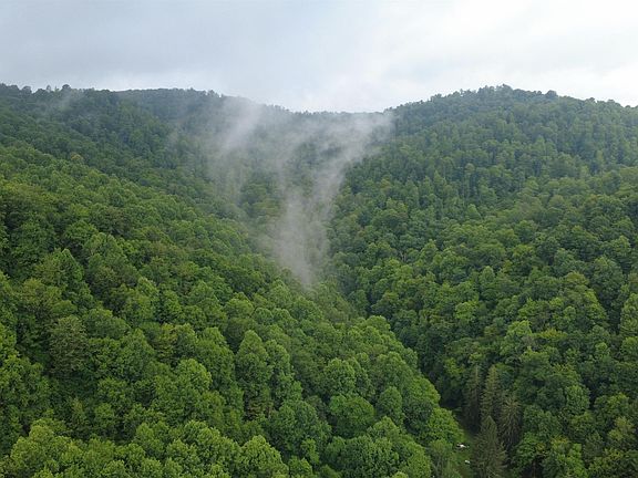 5th image of Saltlick Rd