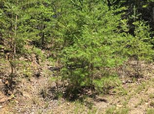 9 Beach Mountain Rdg, Warne, NC 28909