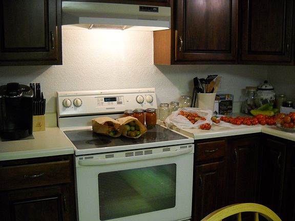 Cherry Cabinets in Kitchen