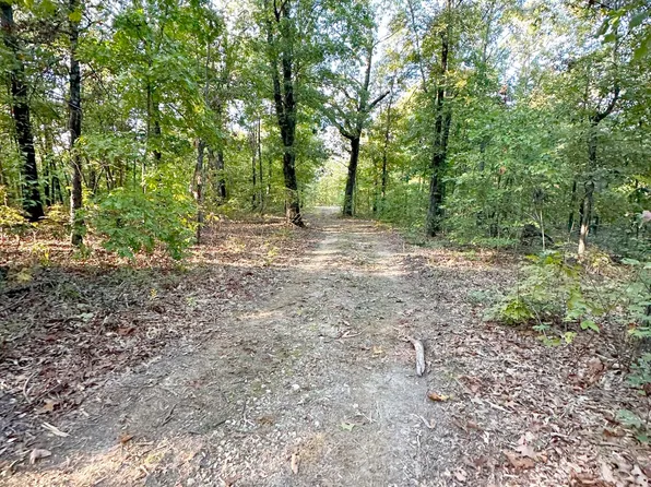 000 State Hwy C #Tract 6, Purdy, MO 65734