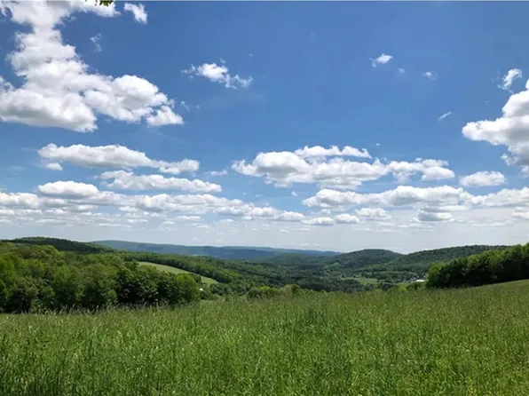 LOT 22.07 Nersesian Rd #22, Hartwick, NY 13348