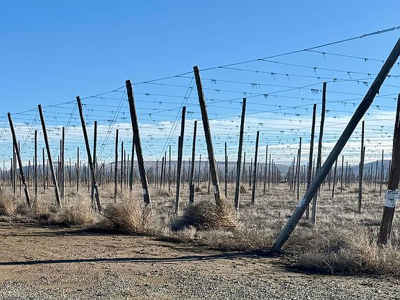 2nd image of 7801 Campbell Rd