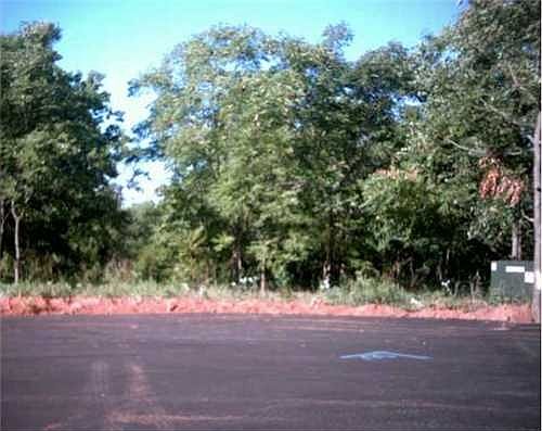 2nd image of 503 Arrowhead