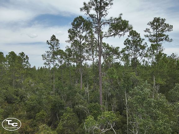 3rd image of 0 SW Hike Lake Rd