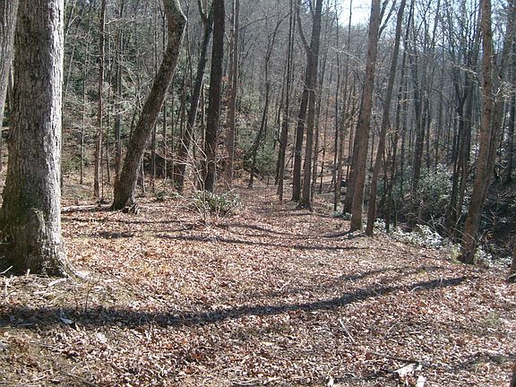 View of site