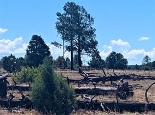 4620 Limestone Dr, Show Low, AZ 85901