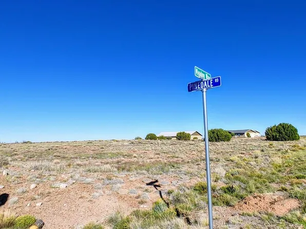 1150 S MEADOW Way #149, Taylor, AZ 85939