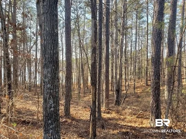 0 Still Water Ln, Double Springs, AL 35553