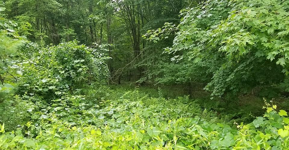 2nd image of 5 Fairbanks Ct