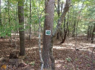 0 Squirrel Hunting Rd #40, Ellijay, GA 30536