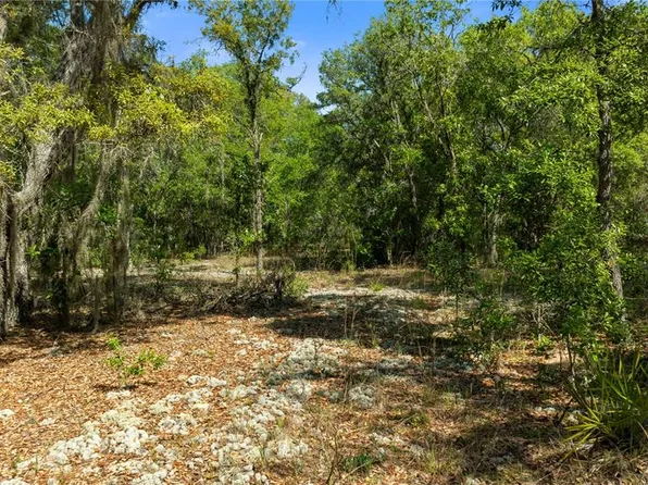 82 W QUINCE STREET LOT 4, HERNANDO, FL 34442