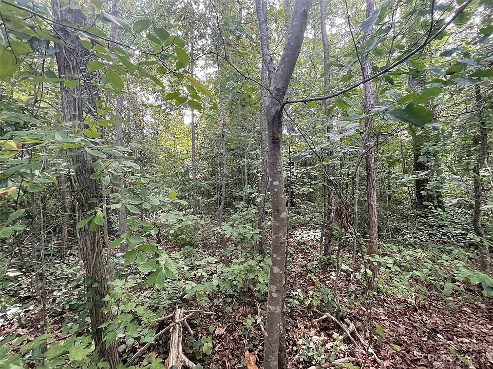 2nd image of 0 Maple Ave