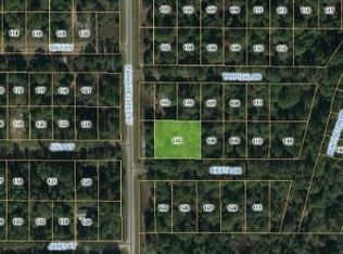 102 Siesta Dr, Georgetown, FL 32139