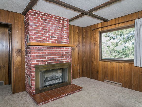 Wood burning fireplace