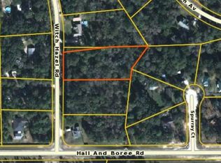 2885 Witch Hazel Rd, Middleburg, FL 32068