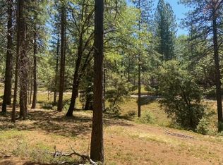 24900 Canterbury Rd, Pioneer, CA 95666