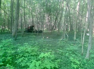 Hines Rd, Kingsville, OH 44048