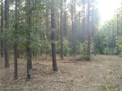 0 Highway 85, Woodbury, GA, 30293