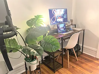 Rented by Virtual Real Estate