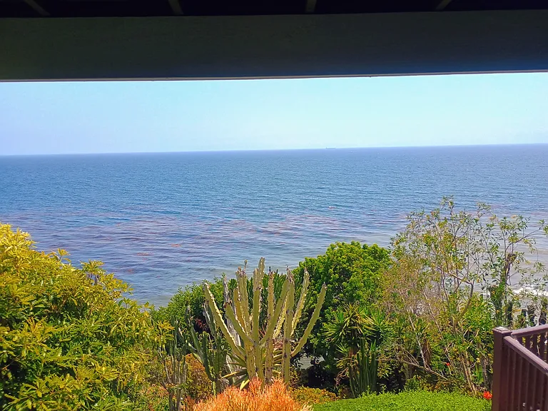 The View