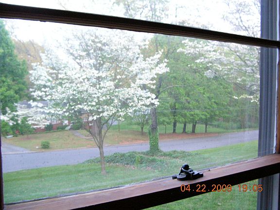 View from office/front room.