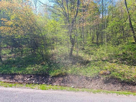 5th image of Pumpkin Hollow Road
