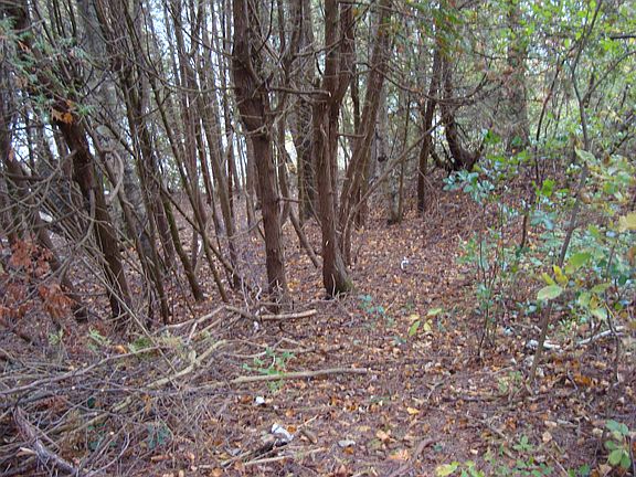 Path down to shore
