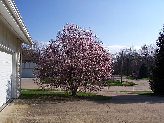Second Driveway
