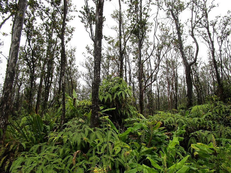 2nd image of Kilnahe Rd Lot 17