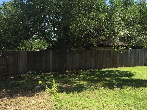 Back yard, mature oak trees