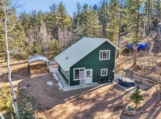 10 Bartimous Road, Bailey, CO 80421