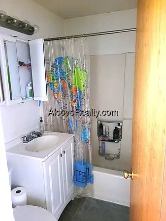 1 bed, 1.0 bath, $3,000 — Photo 4