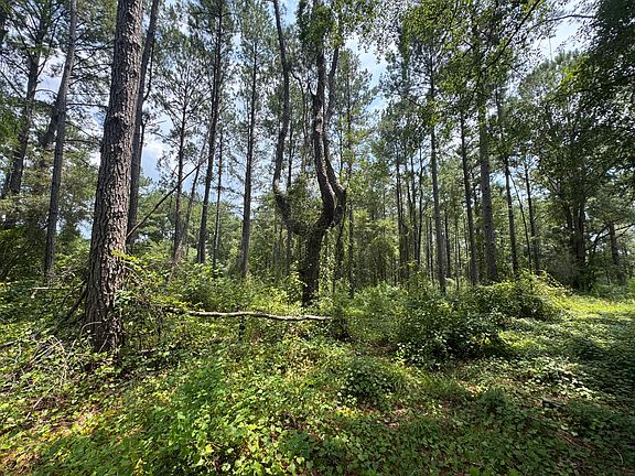 4th image of LOT 14 Plantation Ln