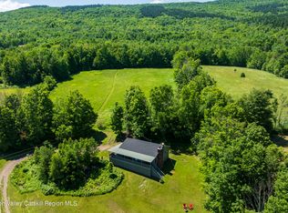 772 S Mountain Rd, Conesville, NY 12076