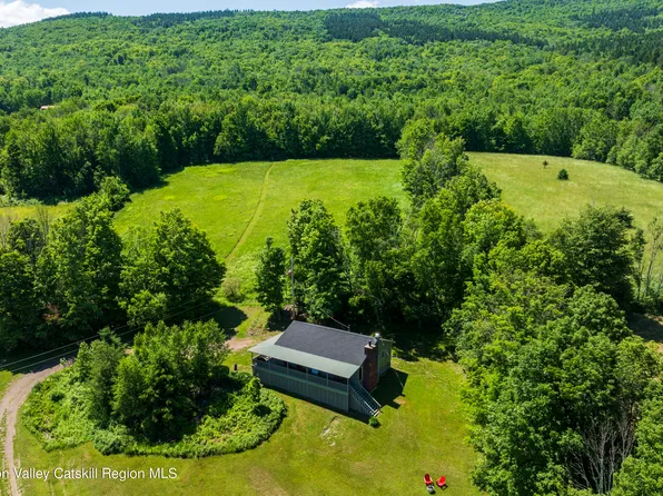 772 South Mountain Road, Conesville, NY 12076