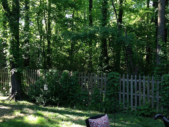 5th image of 8558 Redbud Trail Cv