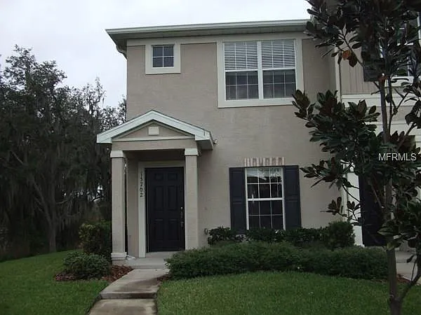 15702 Fishhawk Falls Dr — Photo 1