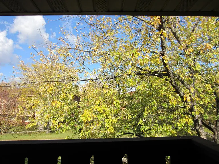 11 Timber Ln #3 — Photo 11